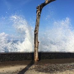 The Rain Song - Led Zeppelin (cover)