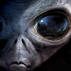 PsyFamilyHoland