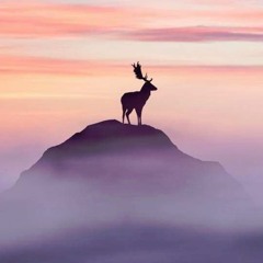 Where Were You - DREAM'S  MIX -  FEAT C/W
