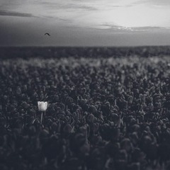 Jeff Jones - One in a Million (PND COVER)