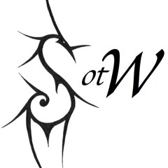 Through the Fire And Flames