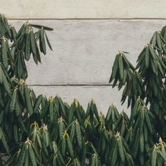 Ｌｏｎｇｉｎｇ ｆｔ. Ｄｖｎｇｌｅｚ