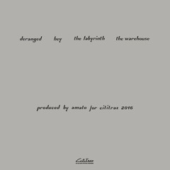 B1 - The Labyrinth