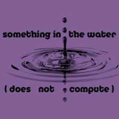Something In The Water (Does Not Compute)