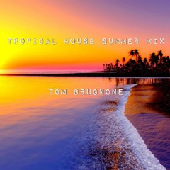 Tropical House Summer Mix