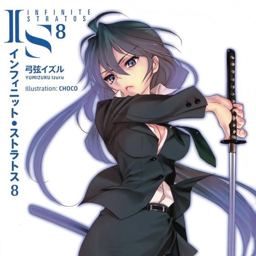 Infinite Stratos (Light Novel)