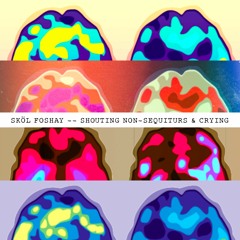 Shouting Non - Sequiturs & Crying