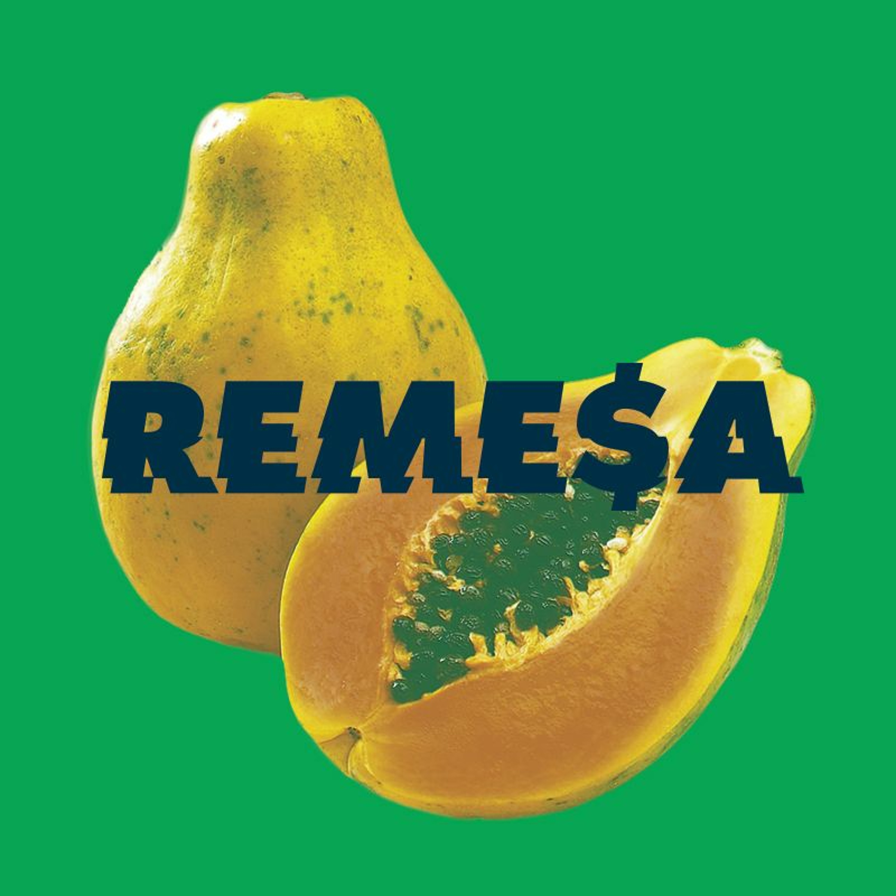 REMESA
