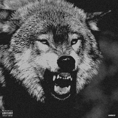 Wolves- Feat. Kilconfirmed (Prod. By Sk8z)