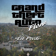 Lil Peedix GTA Flow