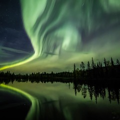 A Creature of Light has been set aflame