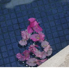 Ansiedad - Poema de Paola Llamas Dinero leído por Marijose Romero