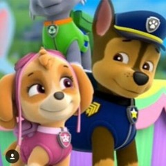 Paw patrol friendship song