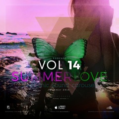 Electronic Sound Carousell - Vol.14 ( Sommer Love )