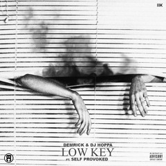 Demrick & DJ Hoppa - Low Key (feat. Self Provoked)