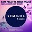 Shadows Of Love (ft. Heidi Rojas) (EMDEKA Remix)