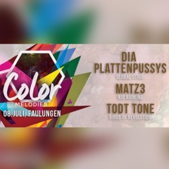 ToDT ToNE Live @ COLOR MELODIES Faulungen 2k16