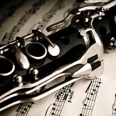 Gabriel's Oboe arranged for Solo Clarinet and Orchestra (LIVE RECORDING)