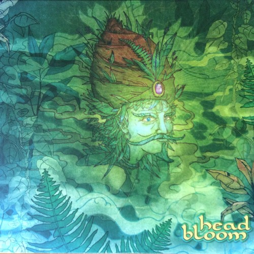 AnnoyingNinjas - Kameltå