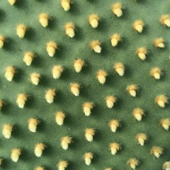 Sunday Funday (June 2016)