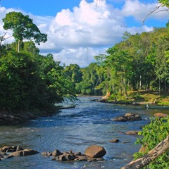 Mi aksi joe te, i taki no abi. ...(Wentje)