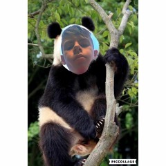 Pandaaa