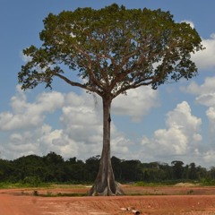 Lekker ding. ....(Meine) 2016"