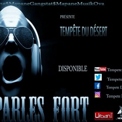 Tempete du Désert - Tu Parles Fort (Prod Owoninho)