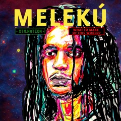 Meleku - What To Make Of This World? (XTM.NATION)