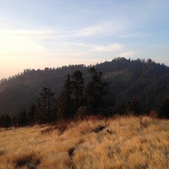 Empty (the Living Room Session) (Cover By Isyraf)