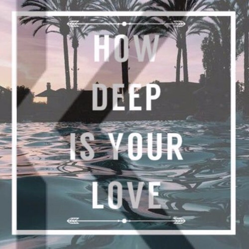 Calvin Harris & Disciples - How Deep Is Your Love (KARL Bootleg)