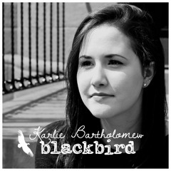 Blackbird (Beatles Cover)