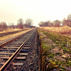 Homebound