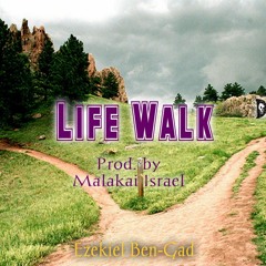 Life Walk(prod. Malakai Israel)