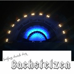 Dave Dinger Feat. Sawatzki @ Bachstelzen Fusion 2016