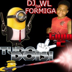MC 2R - ESSA SEMANA EU MAROLEI, PELOS ACESSOS DO BOREL & DA FORMIGA [[ DJ WL DA FORMIGA ]]