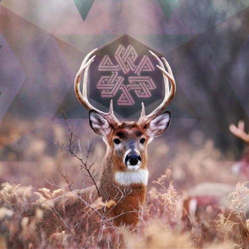 Bassically & FRZ - Mixxy