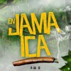 En Jamaica - Nelly Nelz ft Diaz Mafia, Tripeo el Desacatao