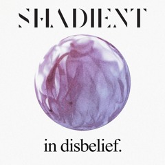 Shadient - In Disbelief (Instrumental)