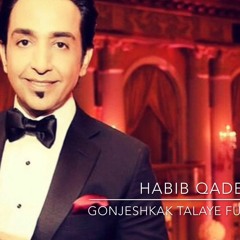 Habib Qaderi- Full Version Gonjeshkake Telayee (18 MINUTE DANCE TRACK)