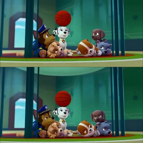 paw patrol theme song band paw patrol theme song band