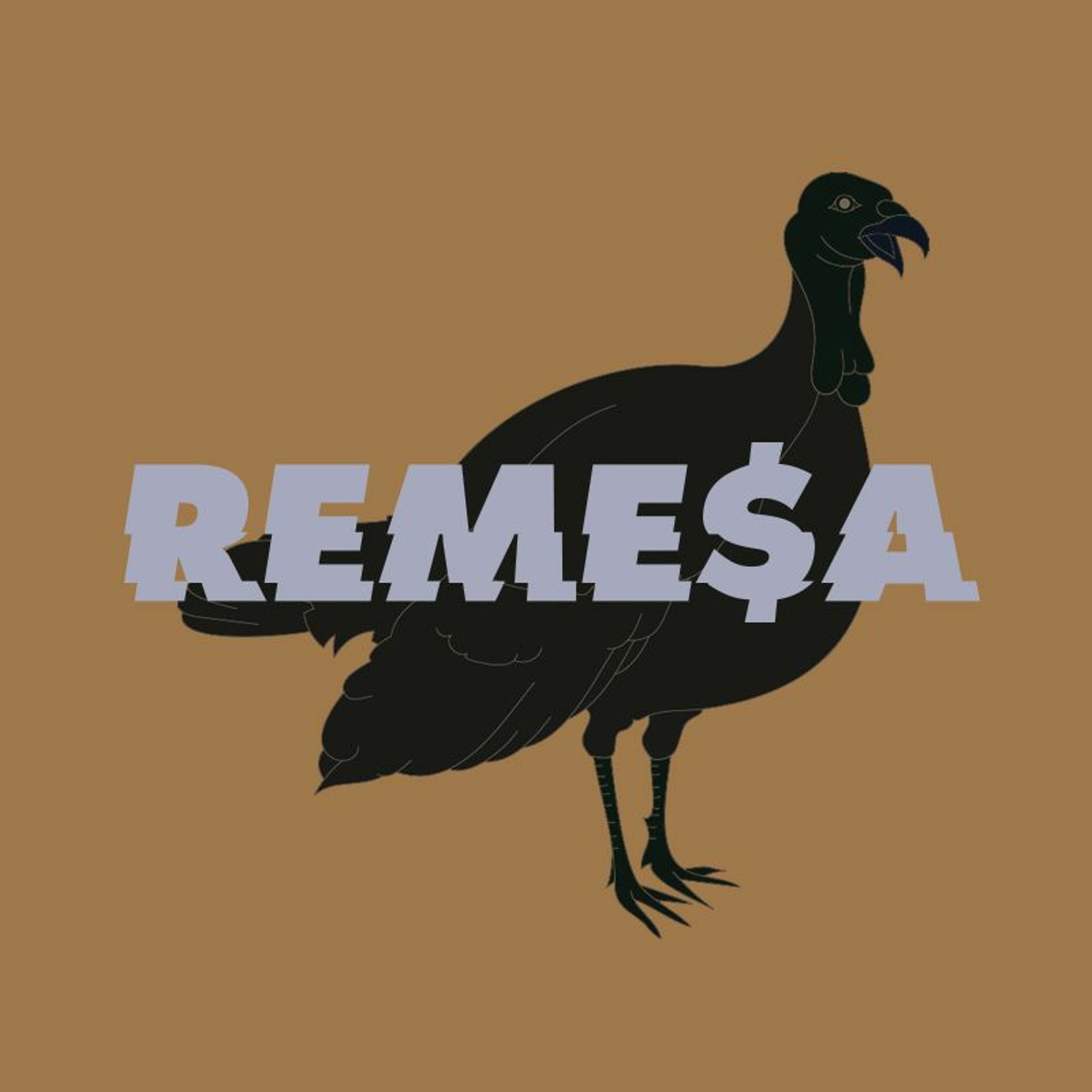 REMESA