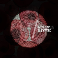 RazV & CompleteJ - My Affection (Original Mix)