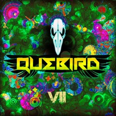 Quebird - VII