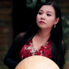 Sao Mưa Còn Rơi Mãi - Dương Hồng Loan