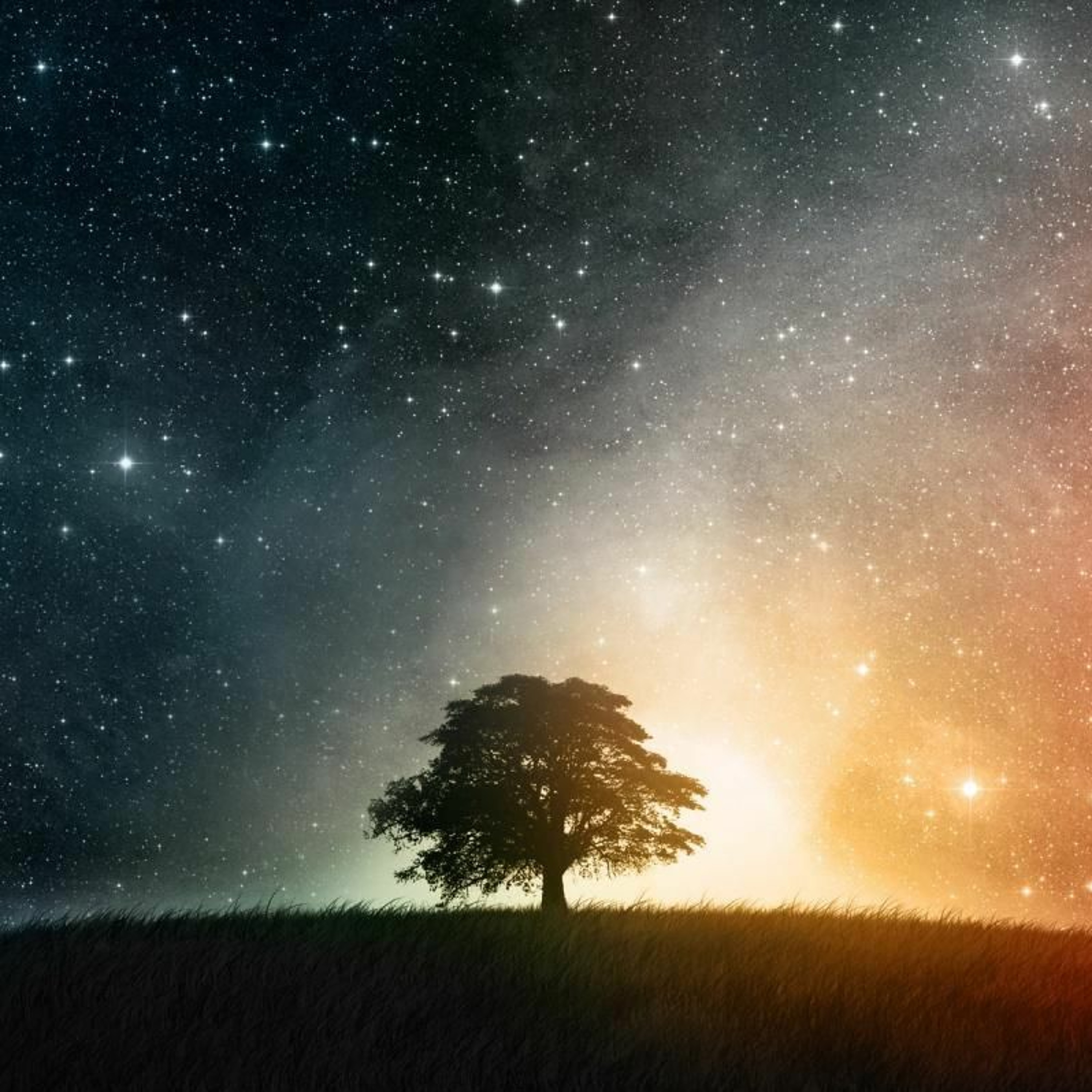 Universe episode artwork