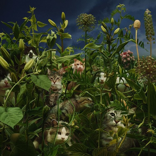 Digi Sisters - About Universe