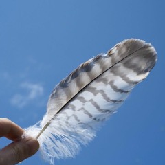 Feather