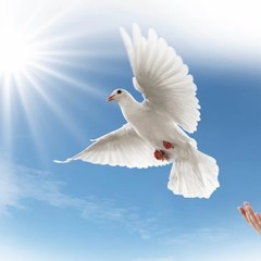 Farewell {Original Piano Solo}