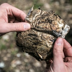 08 - The Plane Crash